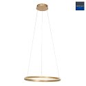 Steinhauer LED Pendelleuchte RINGLUX, 42W, 2700K, 4200lm, gold