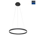 Steinhauer Luci a sospesione RINGLUX LED IP20, Nero dimmerabile
