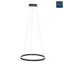 Steinhauer Luci a sospesione RINGLUX LED IP20, Nero dimmerabile