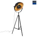 Steinhauer Lampada da terra SUNFLOWER 1-Lampadina E27 IP20, nero dimmerabile