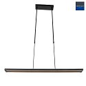 Steinhauer Steinhauer Pendant luminaire ZELENA LED, adjustable, 4 flames, black