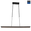 Steinhauer Steinhauer Pendant luminaire ZELENA LED, adjustable, 4 flames, black