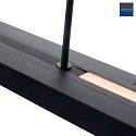 Steinhauer Steinhauer Pendant luminaire ZELENA LED, adjustable, 4 flames, black