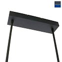 Steinhauer Steinhauer Pendant luminaire ZELENA LED, adjustable, 4 flames, black