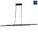 Steinhauer Steinhauer Pendant luminaire ZELENA LED, adjustable, 4 flames, black
