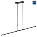Steinhauer Steinhauer Pendant luminaire ZELENA LED, 3 flames, L:150cm, black