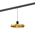 LED Schienen-Pendelleuchte ODREY ON STREX 1.2, 48V, 9,3W, IP20, 2700K, 405lm, schwarz/gold