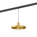 LED Schienen-Pendelleuchte ODREY ON STREX 1.2, 48V, 9,3W, IP20, 2700K, 405lm, gold