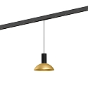 LED Schienen-Pendelleuchte ODREY ON STREX 1.7, 48V, 9,3W, IP20, 3000K, 500lm, schwarz/gold