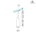 Wever & Ducré Luminaire suspendu triphasé RAY ON TRACK 2.0 - PAR16 cylindrique, court, avec adaptateur GU10 IP20, mat, noir profond gradable