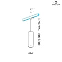 Wever & Ducré 3-Phasen Pendelleuchte RAY on track 3.0 - PAR16, 30cm / 250cm, zylindrisch, GU10 max. 12W, inkl. Adapter, gold