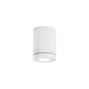 Outdoor Ceiling luminaire TUBE 1.0 PAR16, IP65, GU10 max. 5W, white